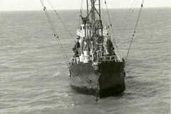 De mv Mi Amigo op 'ramkoers'